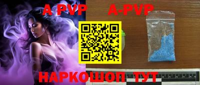 jwh Бийск