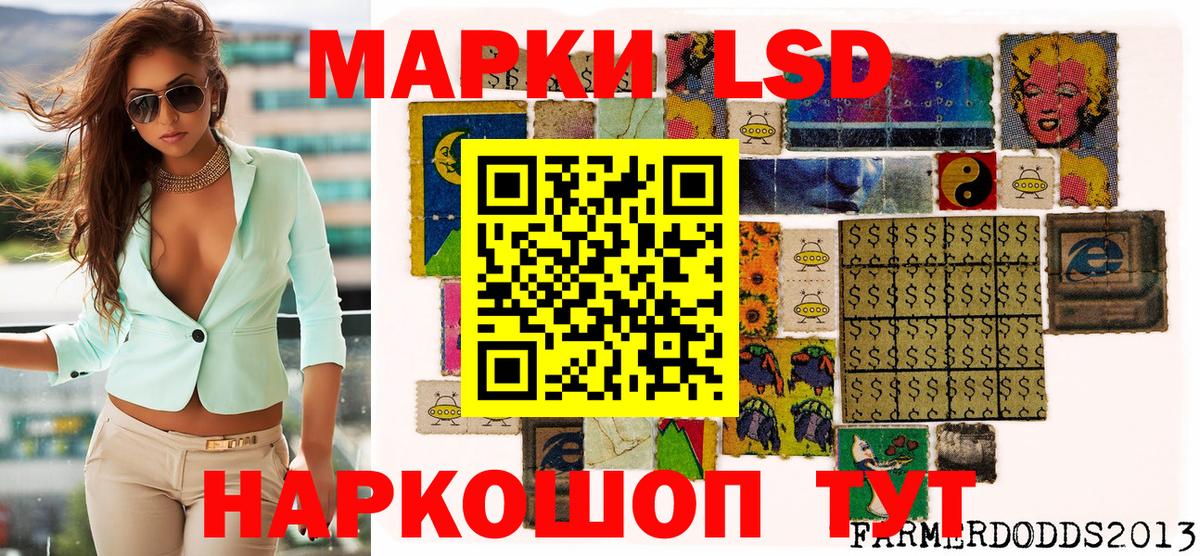 Наркотические марки 1,8мг  Наркотические марки 1,8мг  Наркотические марки  Вход с VPN  Ковров 