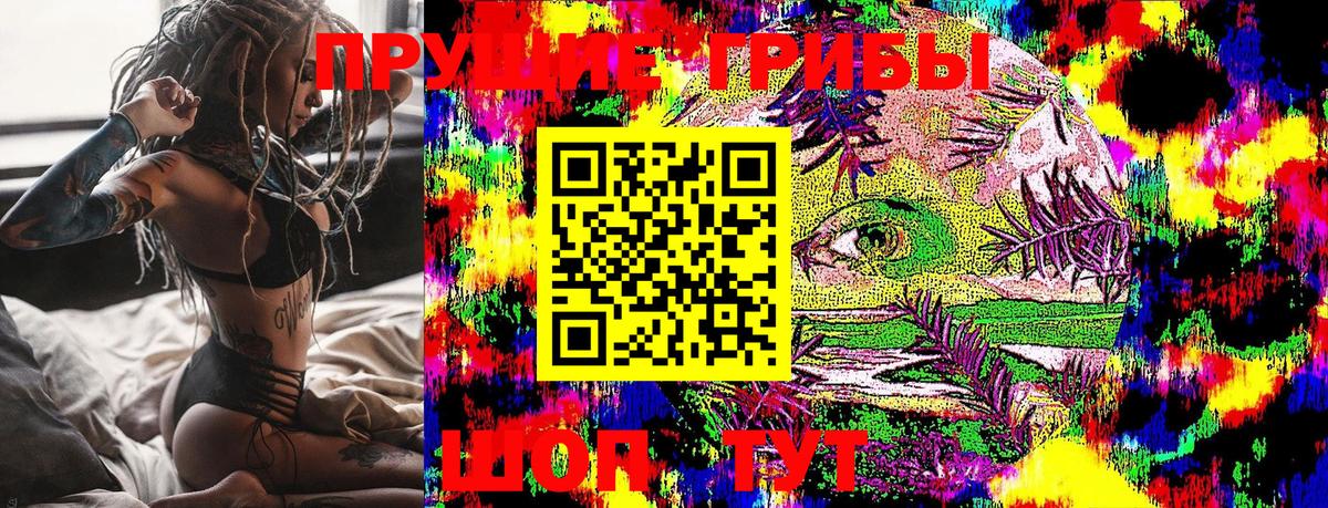 Галлюциногенные грибы Cubensis Ковров