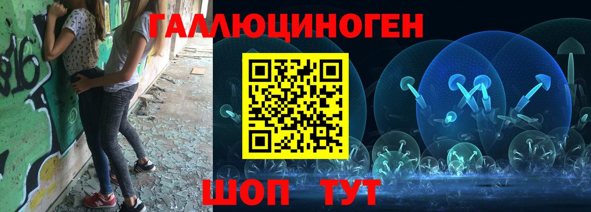 Галлюциногенные грибы прущие грибы  Вход с VPN  Ковров 